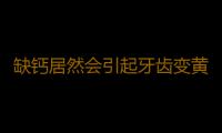 缺钙居然会引起牙齿变黄 教你八招解决牙齿黄的困扰