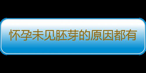 怀孕未见胚芽的原因都有什么