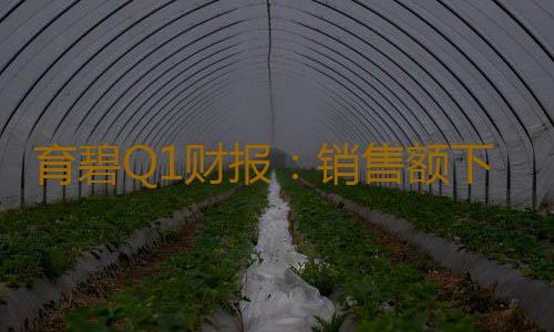 育碧Q1财报：销售额下降9% 但业绩“好于预期”